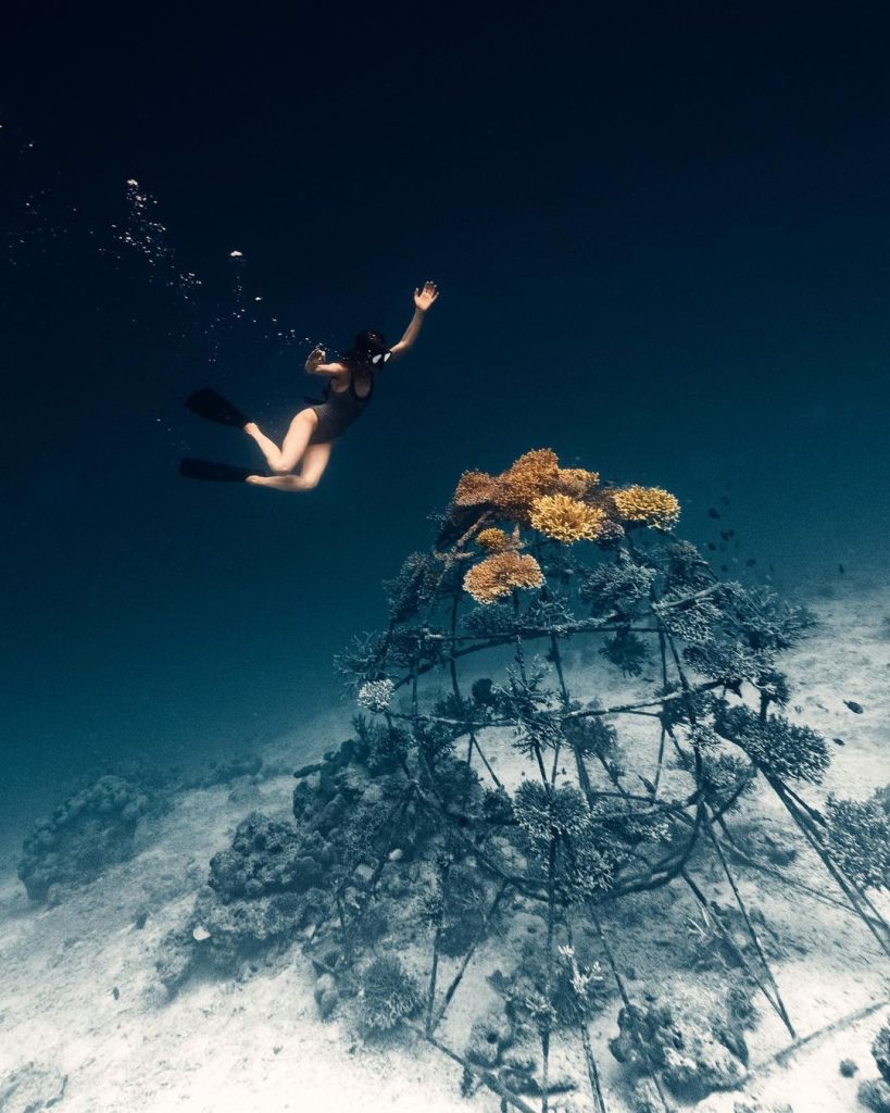 Coral globe snorkel