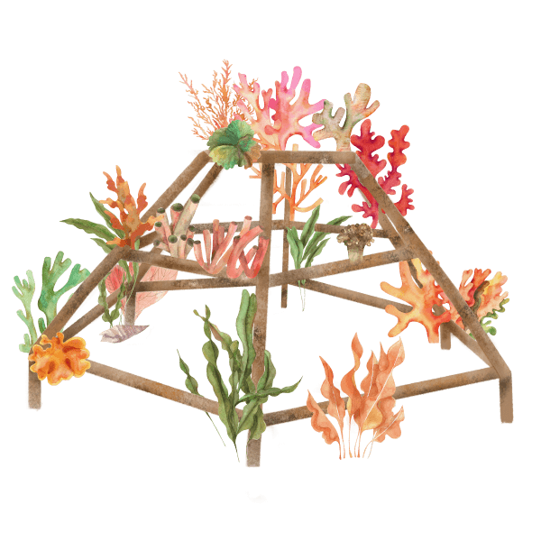 Large Diamond Coral Structure