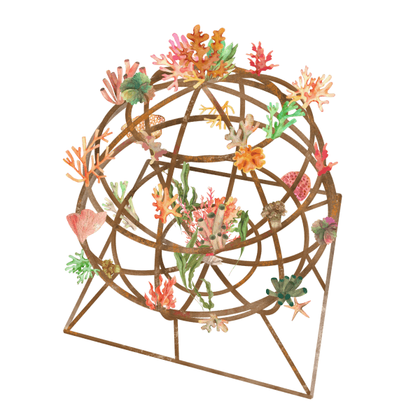 Large globe coral structure
