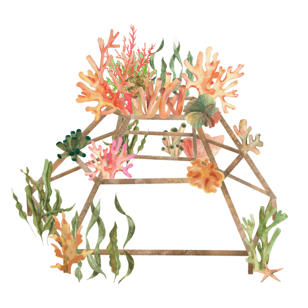 Medium Diamond Coral Structure