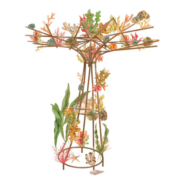 Wishing tree coral structure