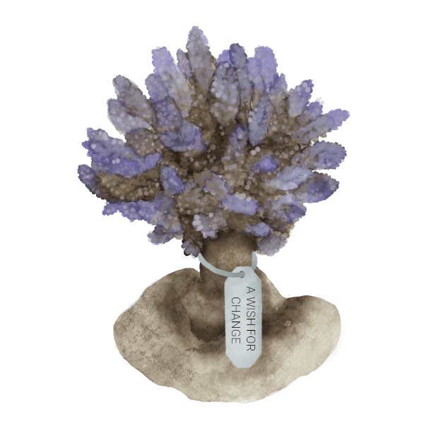 baby coral with wish tags